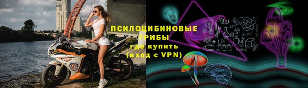 ешки Богородицк