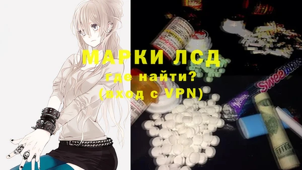 гашиш Богданович