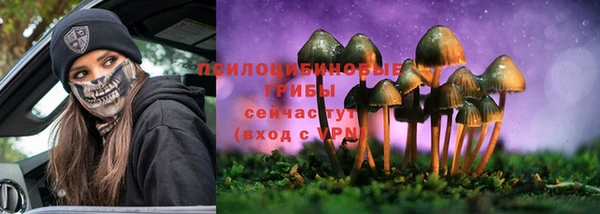 гашиш Богданович