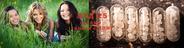 ешки Богородицк