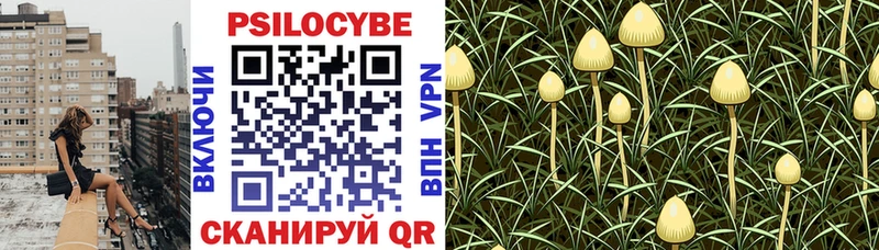 Галлюциногенные грибы Psilocybe  blacksprut ONION  Нерюнгри 